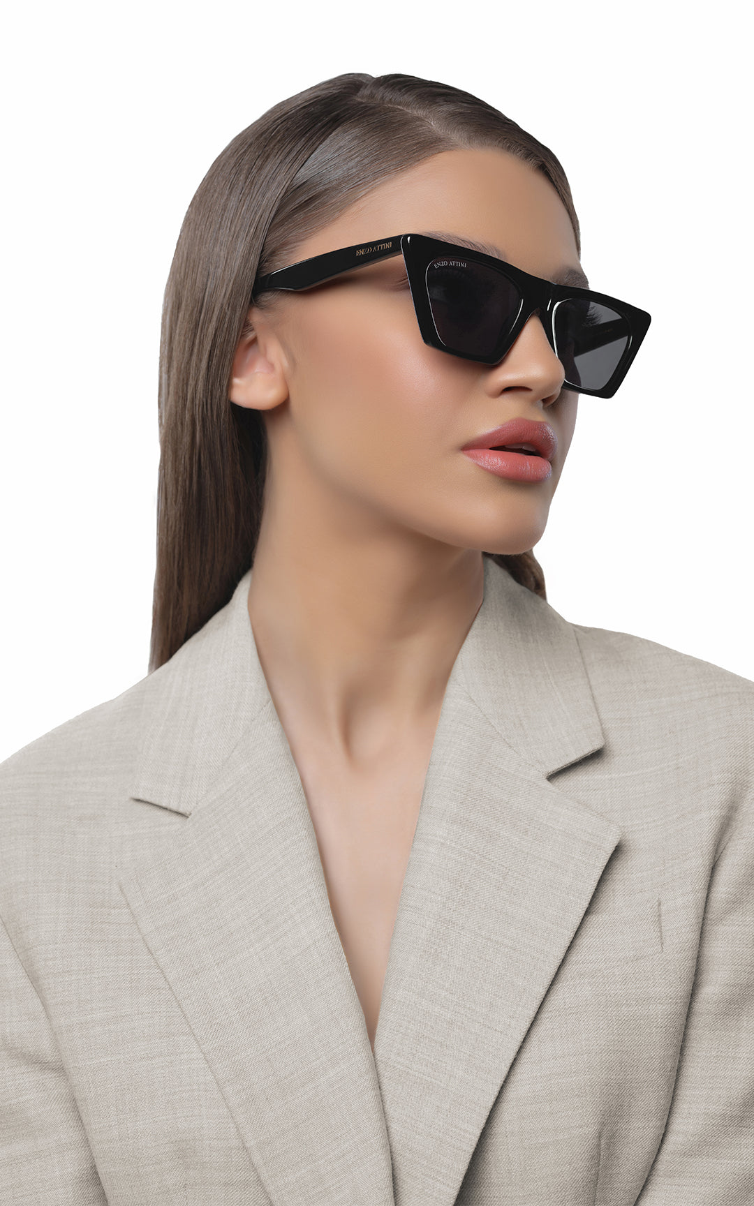 Great Sphinx of Giza / Black + Dark Black Lens.