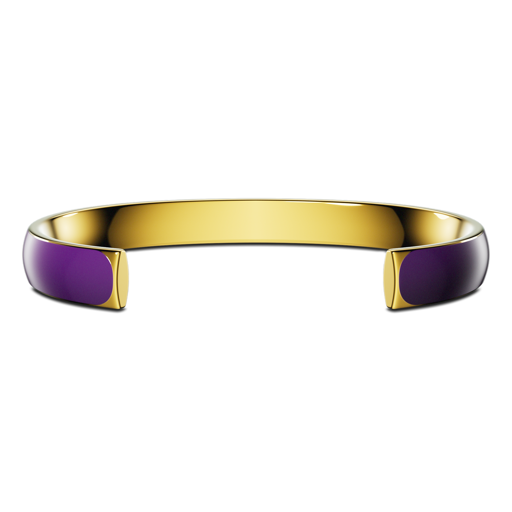 Momentum Sport / Purple Color - Enzo Attini - - jewelry_men, momentum sport