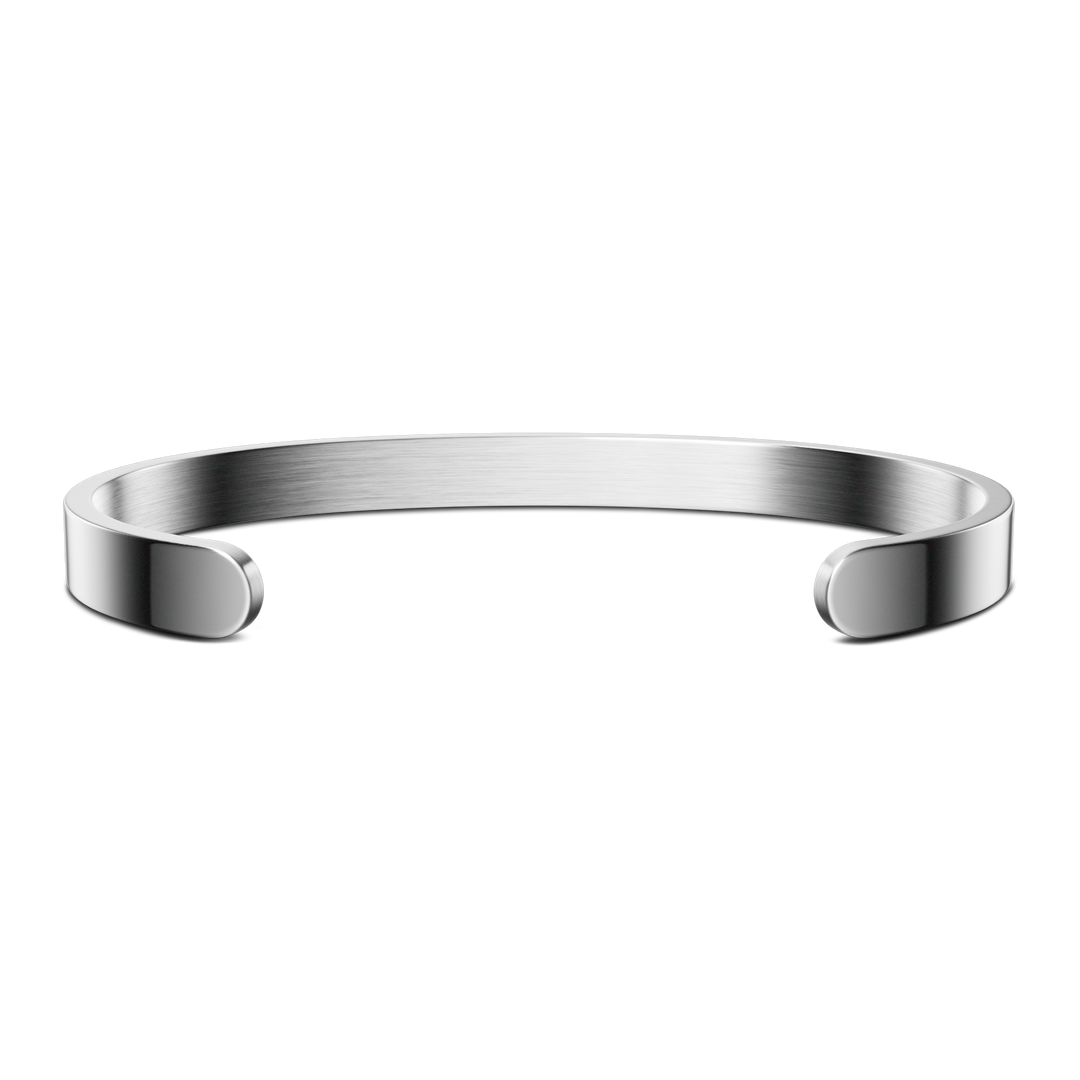 Torre di Pisa - Minimalist / Silver.