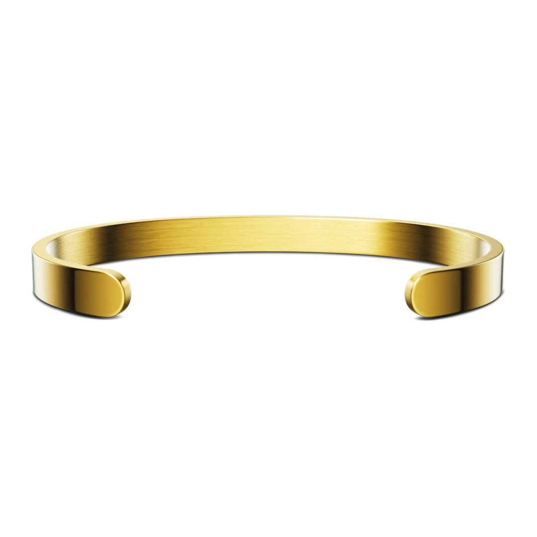 Fontana di Trevi - Minimalist  / Gold.