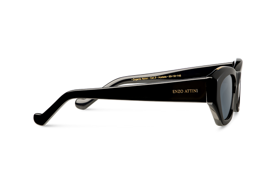 Eiffel Tower / Dark Black Lens