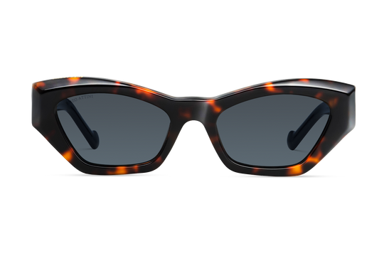 Eiffel Tower / Dark Brown Lens