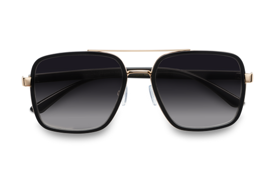 il Ponte di Rialto / Black + Gray Lens.